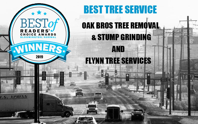Best Tree Services